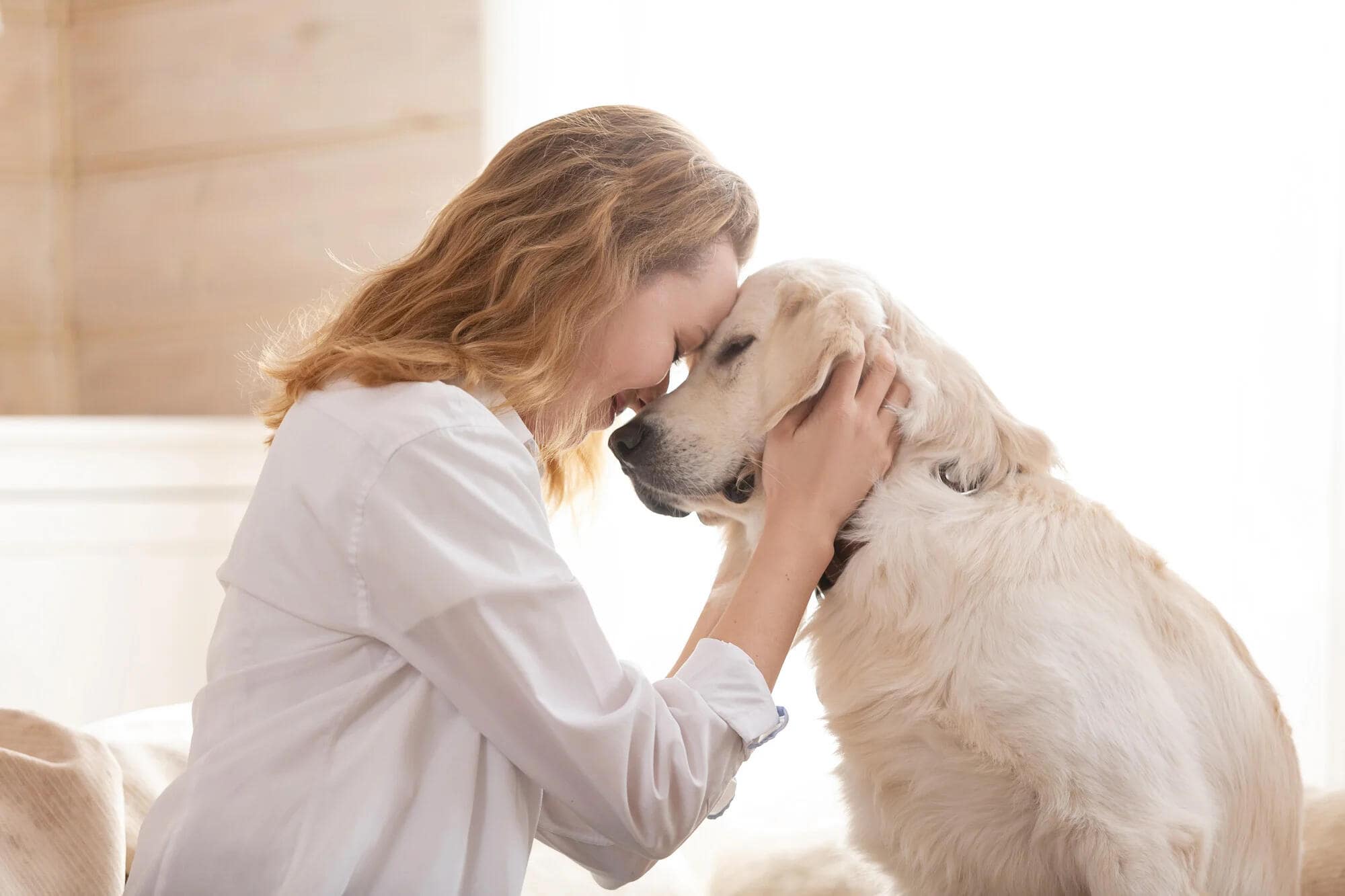 Difference Between Service, Emotional Support Animals and Pets